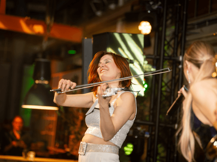 Electric violin