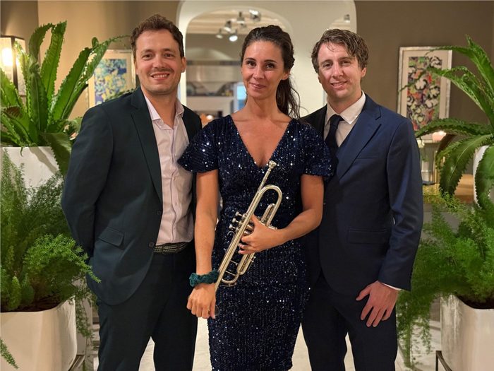 Acoustic trio